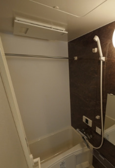 バス・シャワールーム　別タイプ部屋　参考写真です