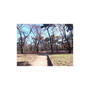 公園　大宮公園（公園）まで290m