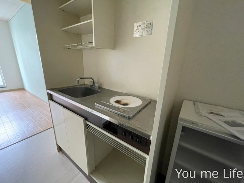 グランドパレスサネカタBのキッチン写真