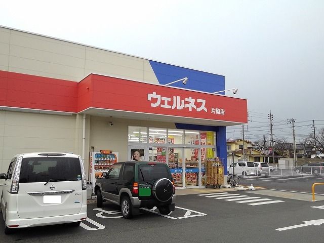 ドラックストア　ウェルネス鳥取片原店（ドラッグストア）まで300m