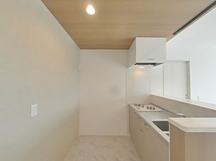 岡山電軌清輝橋線 清輝橋駅 徒歩22分 3階建 築1年のキッチン写真