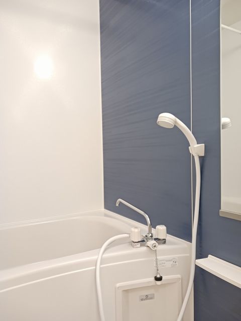 プレアデスAの風呂写真