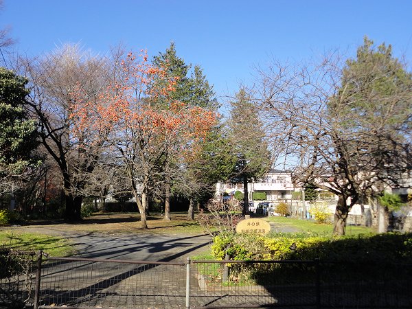公園　小金井公園（公園）まで63m