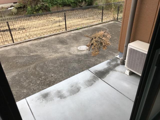 庭　庭