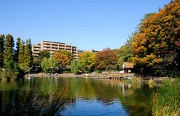 公園　見次公園（公園）まで375m