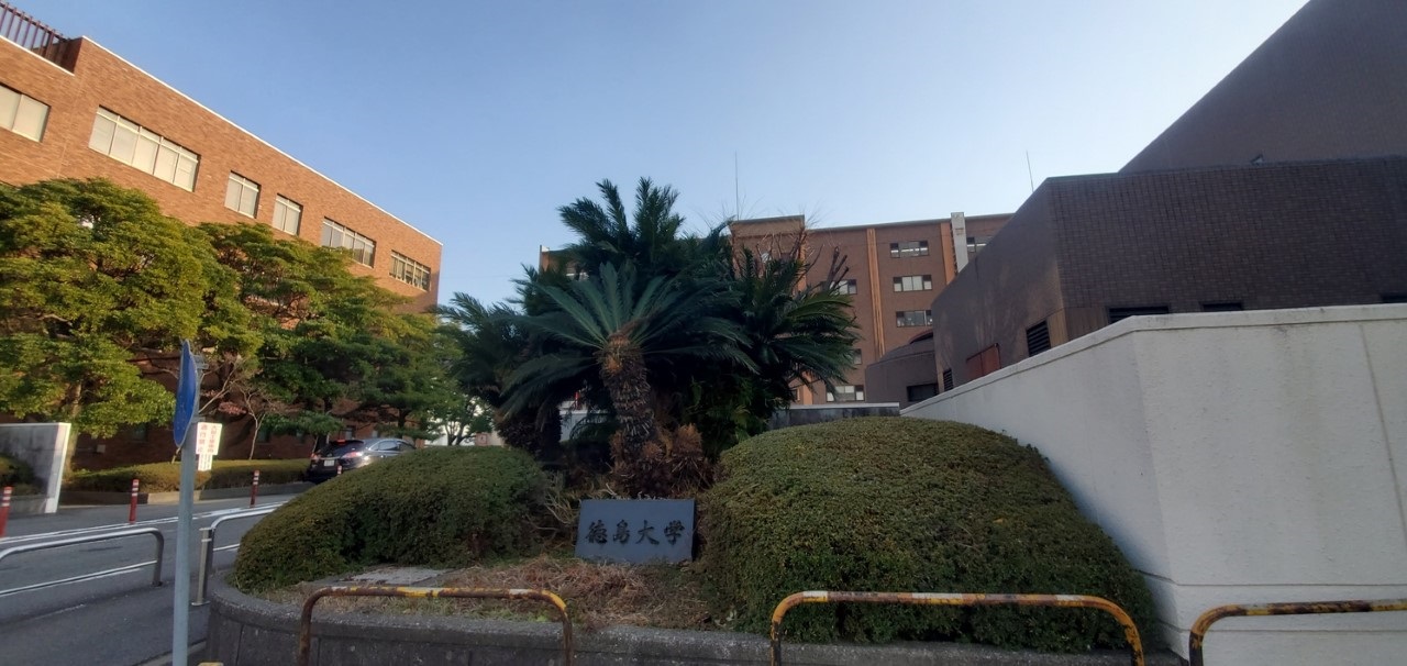 大学・短大　国立徳島大学薬学部（大学・短大）まで1313m