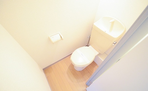 トイレ　※別号室の写真です