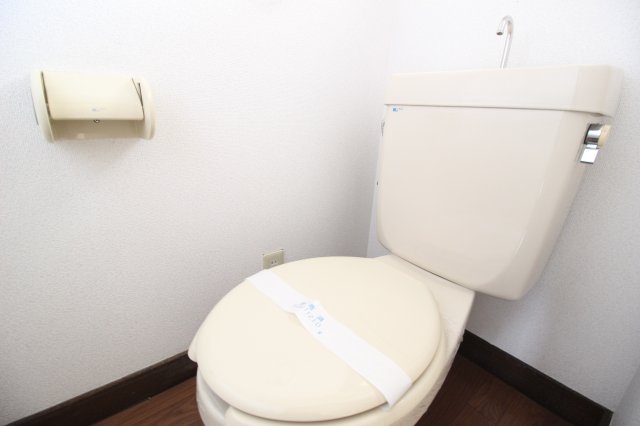 【津島サンコーポのトイレ】