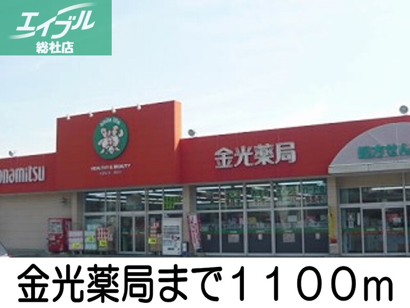 その他　金光薬局（その他）まで1100m