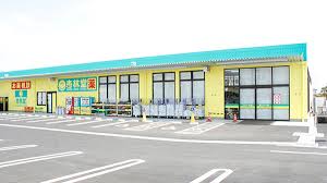 ドラックストア　杏林堂薬局 藤枝田沼店（ドラッグストア）まで983m