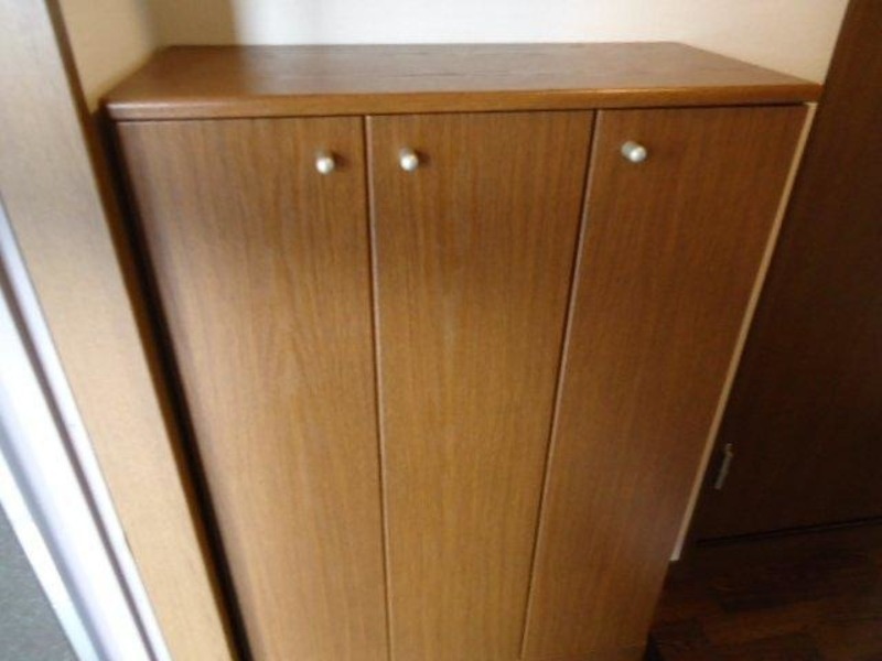 玄関　図面と現状に相違がある場合には現状を優先