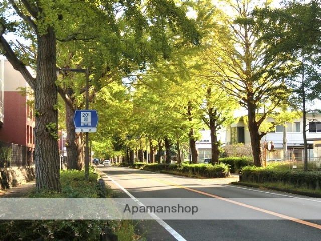 その他　文教町イチョウ並木（その他）まで419m