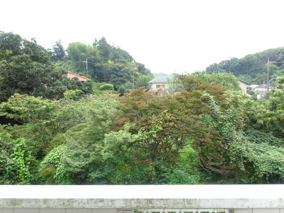 眺望　室内からの眺望です。