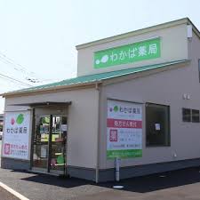 ドラックストア　わかば薬局（ドラッグストア）まで230m