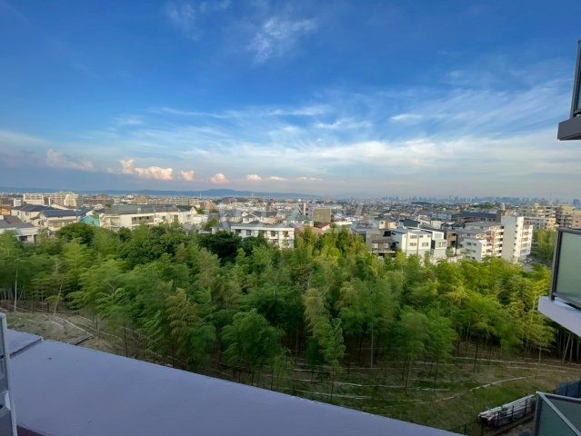 眺望
