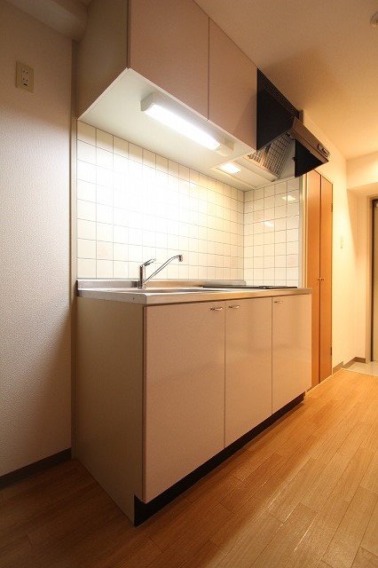 キッチン　同物件別号室のものです。