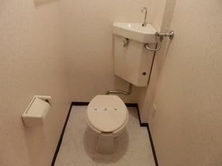 トイレ　同タイプ別号室内観です