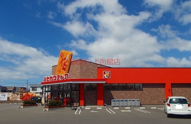 その他　ハセガワストア（その他）まで800m