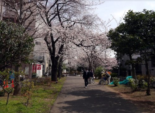 公園　玉川上水緑道（公園）まで420m