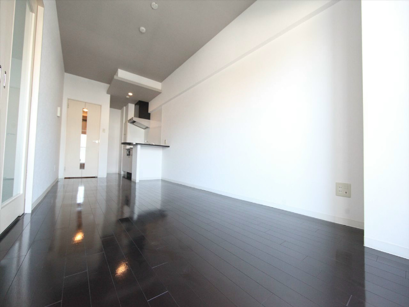 その他　ＬＤＫ11.2帖　洋室4.6帖とつなげても仕切っても使えます