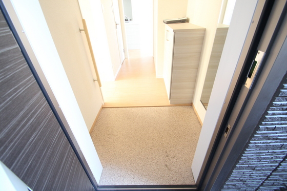 玄関　※別部屋の写真です