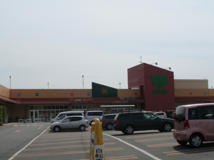 スーパー　サミットストア松戸新田店（スーパー）まで595m