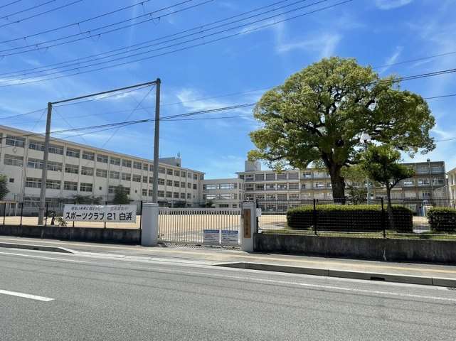 小学校　白浜小学校（小学校）まで2604m