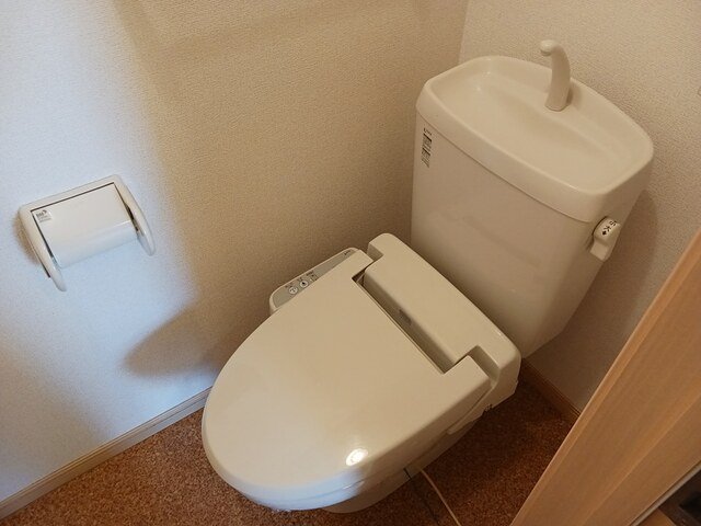 トイレ　トイレも気になるポイント