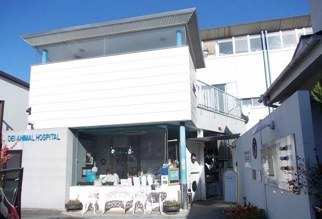 その他　デイ動物病院（その他）まで400m