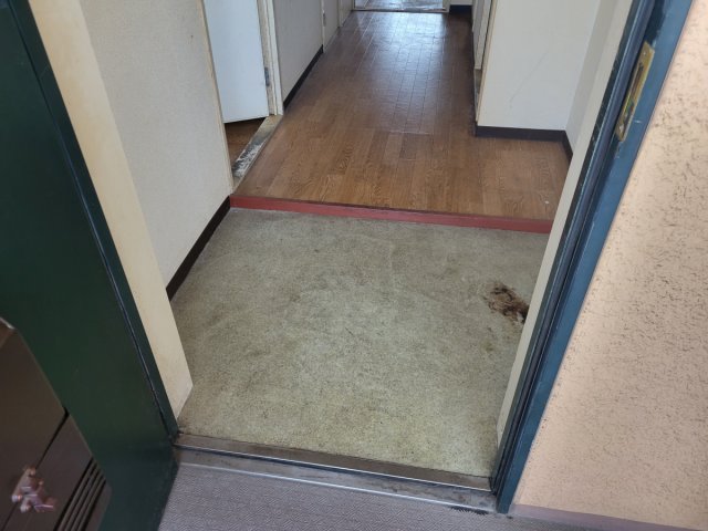玄関