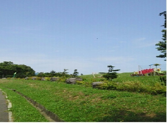 その他　大曲公園（その他）まで450m
