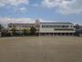 小学校　神戸市立本山第一小学校（小学校）まで250m
