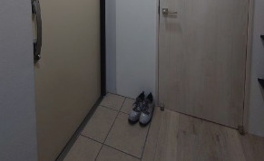 玄関　※別部屋の参考写真です。