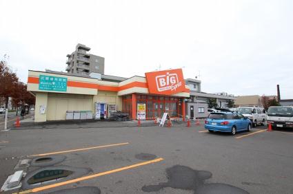 スーパー　ザ・ビッグエクスプレス平岸店（スーパー）まで1000m