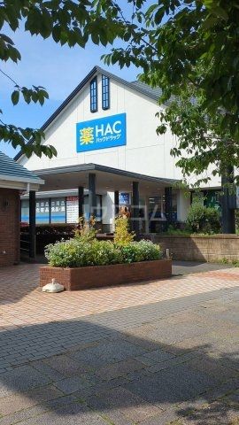 ドラックストア　ハックドラック新本牧店（ドラッグストア）まで701m
