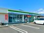 コンビニ　ファミリーマート鹿屋寿七丁目店（コンビニ）まで546m