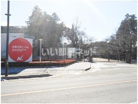 大学・短大　私立日本大学工学部（大学・短大）まで506m