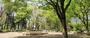 公園　椎名町公園（公園）まで142m