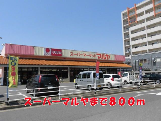 スーパー　マルヤ（スーパー）まで800m