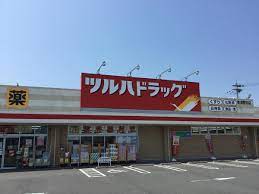 ドラックストア　ツルハドラッグ草津野村店（ドラッグストア）まで842m