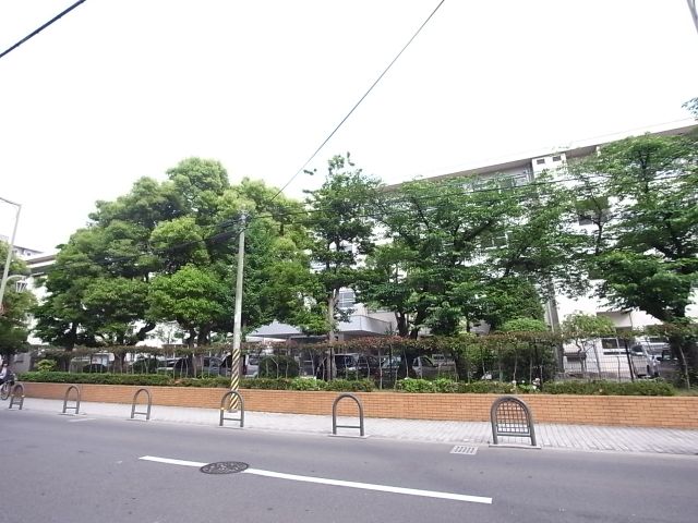 小学校　市立東住吉小学校（小学校）まで160m