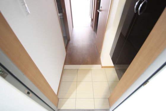 玄関　※他部屋の写真です。
