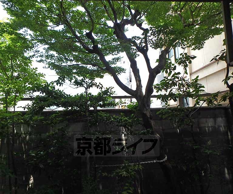 眺望　１階からの眺望です