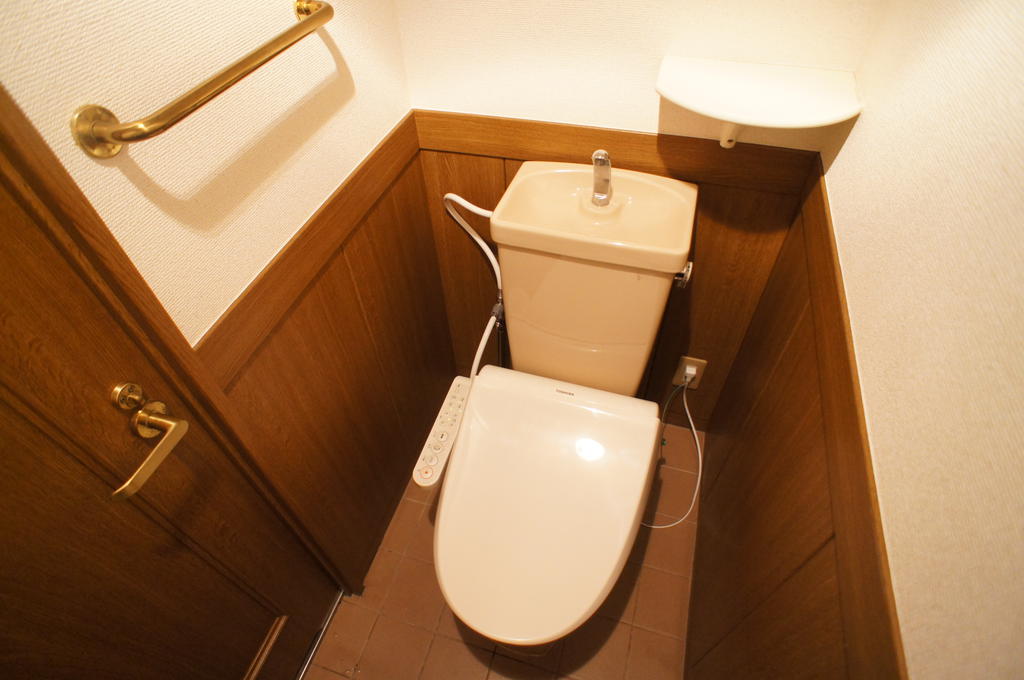 ステイツ天神東IIのトイレ写真