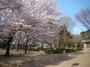 公園　塚山公園（公園）まで724m