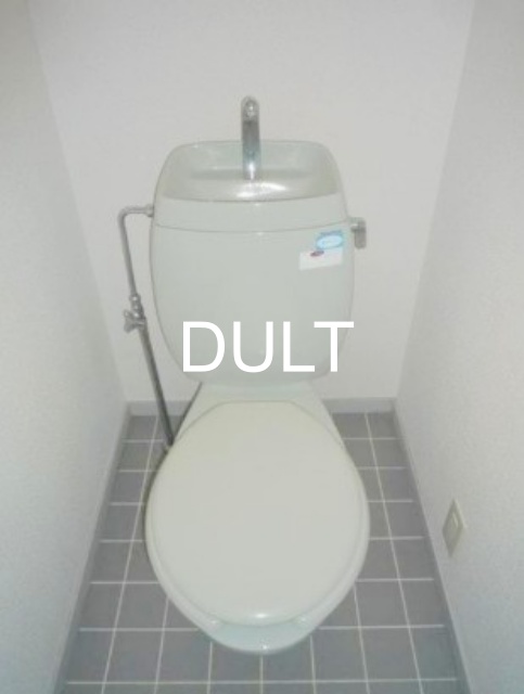 都営三田線 千石駅 徒歩10分 2階建 築33年のトイレ写真