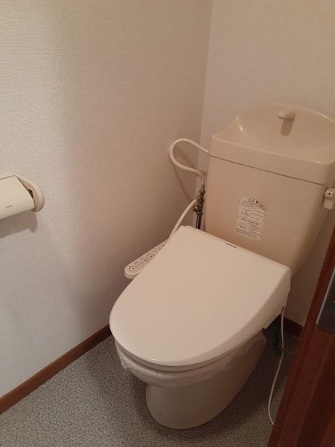 メゾンアイIIのトイレ写真