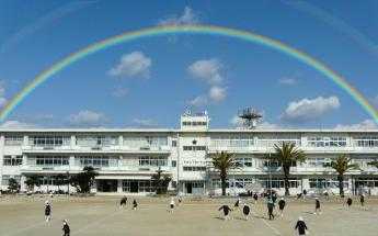 小学校　倉敷市立船穂小学校（小学校）まで732m