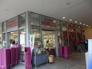 スーパー　成城石井東京ドームラクーア店（スーパー）まで505m