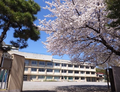 小学校　板橋区立 板橋第八小学校（小学校）まで341m